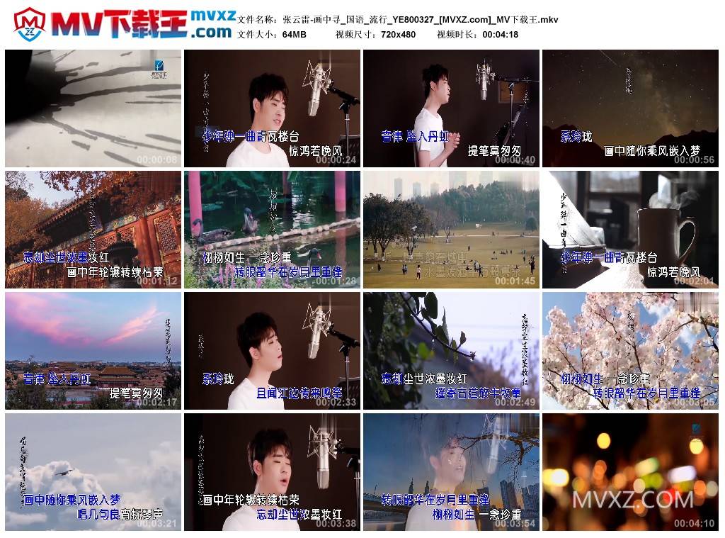 张云雷-画中寻_国语_流行_YE800327